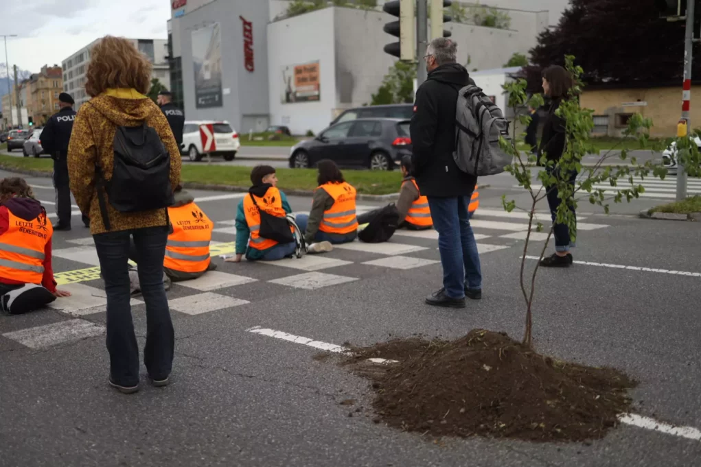 Baum auf Asphalt gepflanzt: Verkehr in Innsbruck wurde lahm gelegt