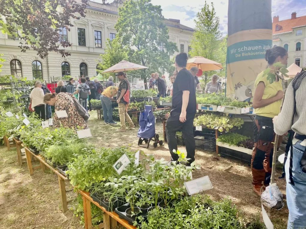 Bild auf 5min.at zeigt den pflanzen-raritätenmarkt in Graz