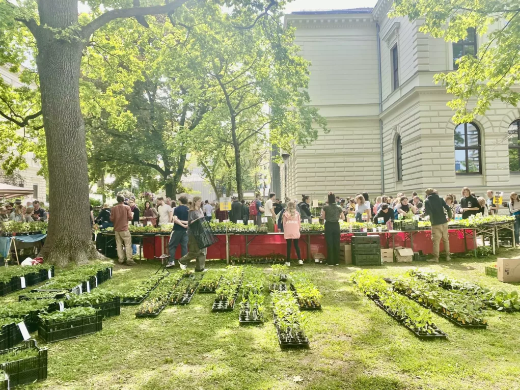 Bild auf 5min.at zeigt den pflanzen-raritätenmarkt in Graz