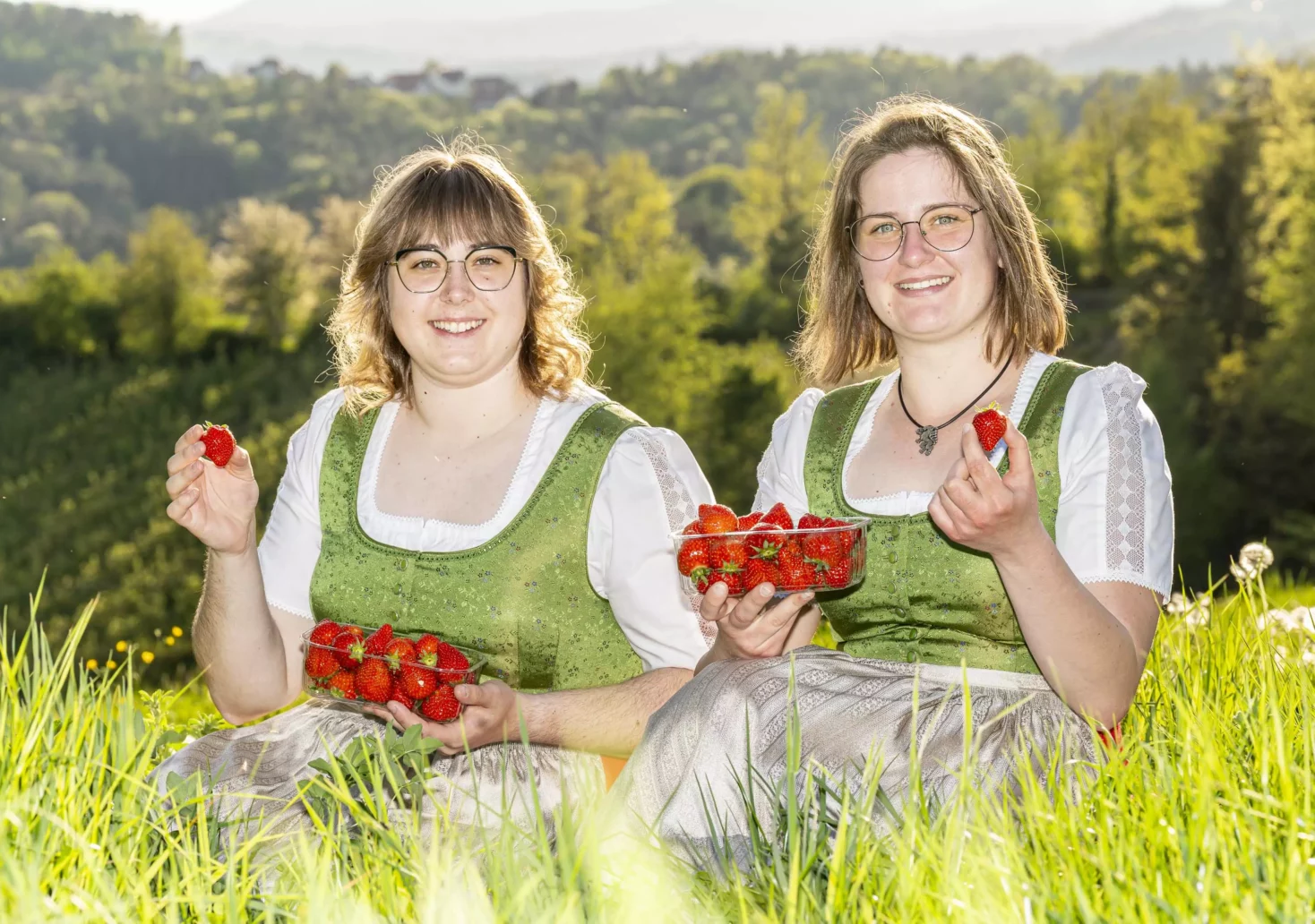 So früh wie noch nie: Heimische Erdbeeren eröffnen die Saison