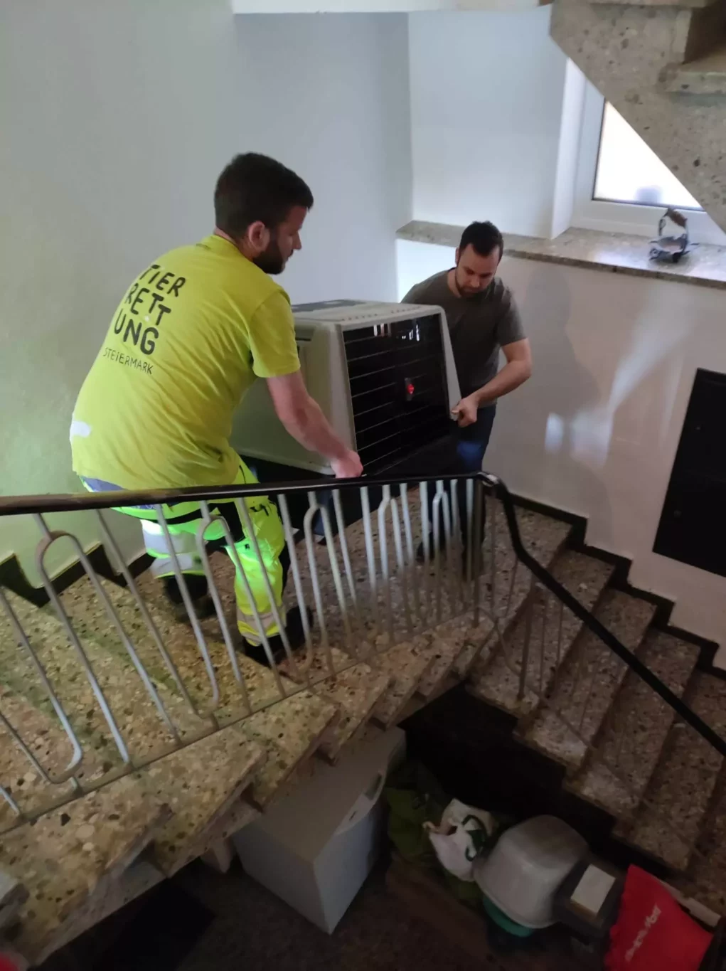 Drei Hunde in versperrten Zimmern ohne Futter tagelang zurückgelassen