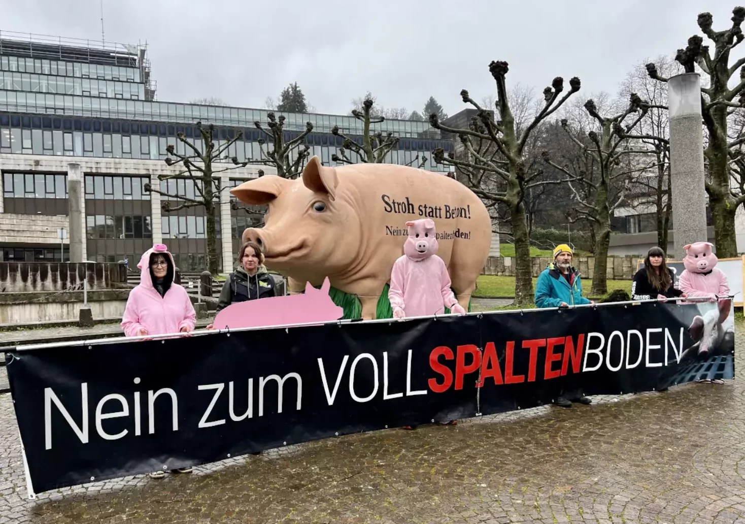 Foto in Beitrag von 5min.at: Zu sehen ist das Riesenschwein "Grunzi" und einige Aktivisten des Vereins gegen Tierfabriken.