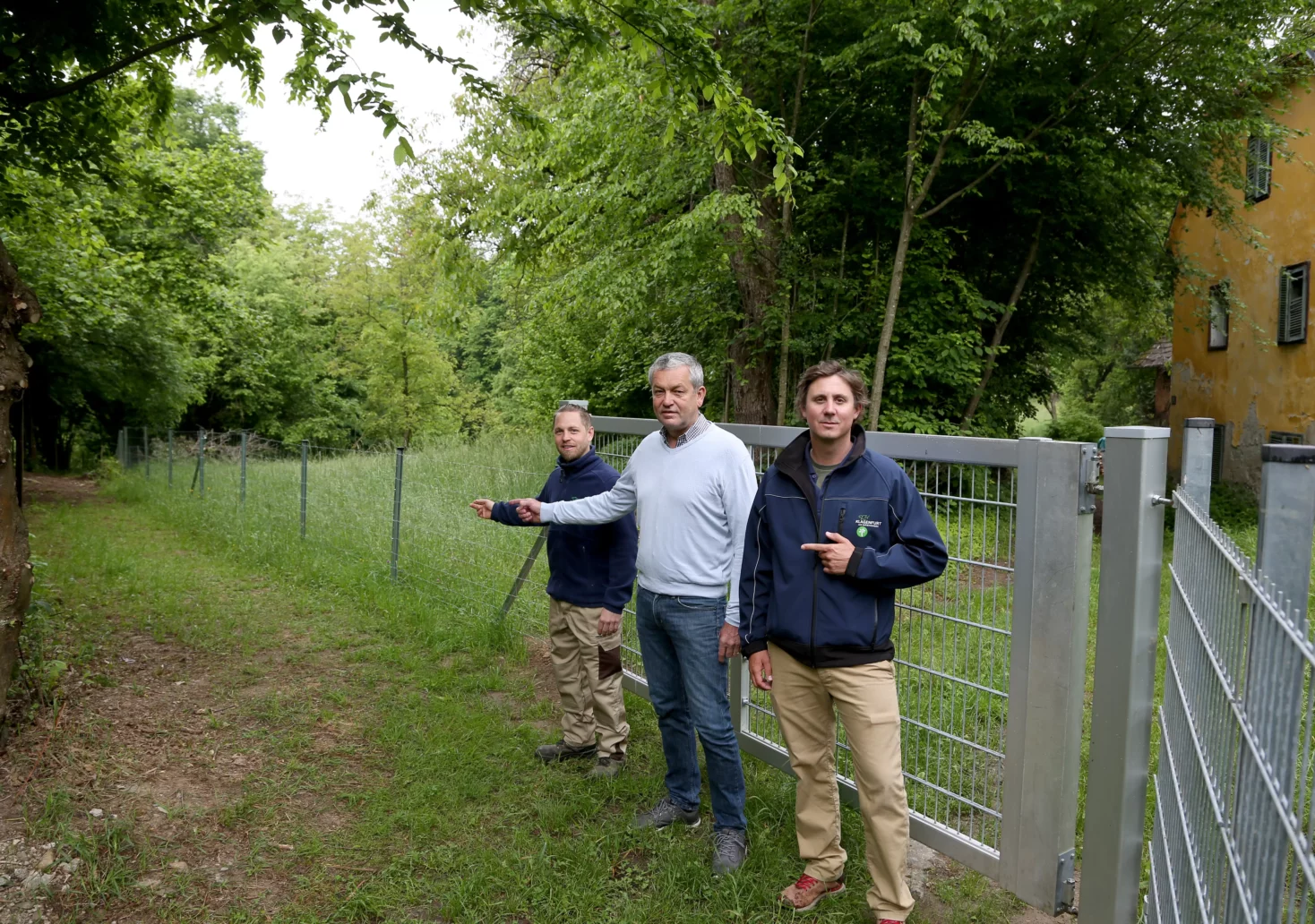 Bild auf 5min.at zeigt drei Personen, darunter Klagenfurter Stadtrat Max Habenicht, bei einem Weg im Wald stehen.