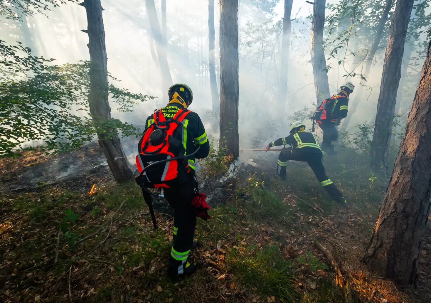 Hat Lagerfeuer zu Waldbrand geführt? Polizei bittet um Hinweise