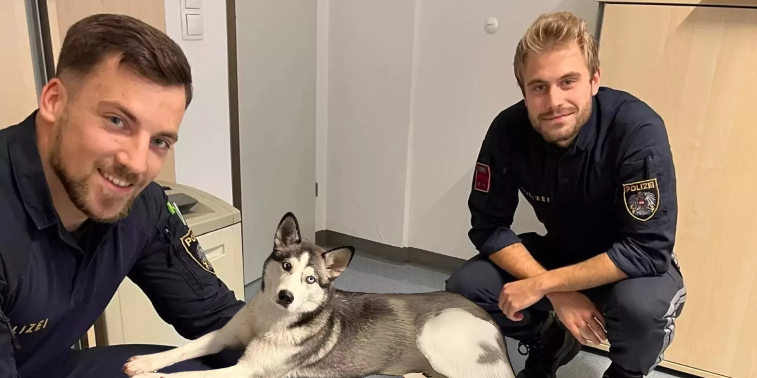 Bild auf 5min.at zeigt zwei Wiener Polizisten mit einem verletzten Husky