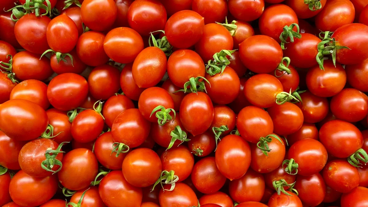 Foto auf 5min.at zeigt Cherrytomaten.