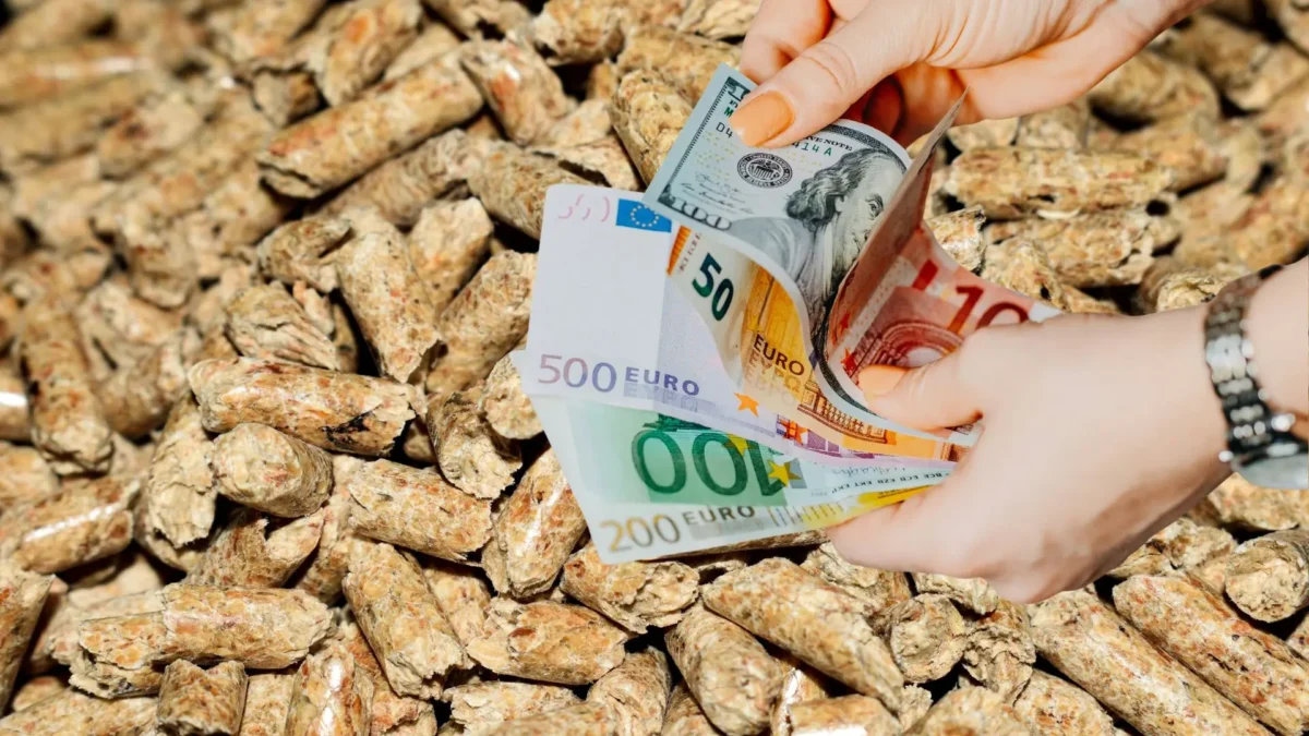 Das Bild zeigt Pellets und Geld auf 5min.at.