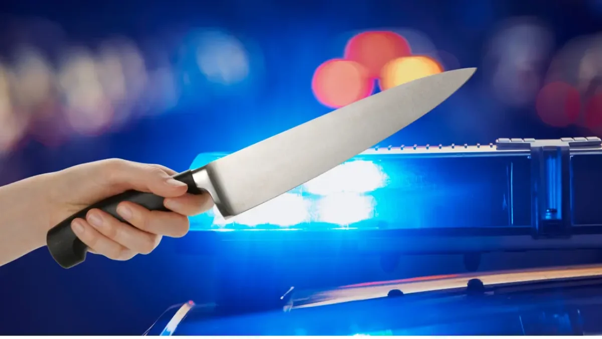 auf dem bild von 5min.at sieht man eine frau mit einem messer.