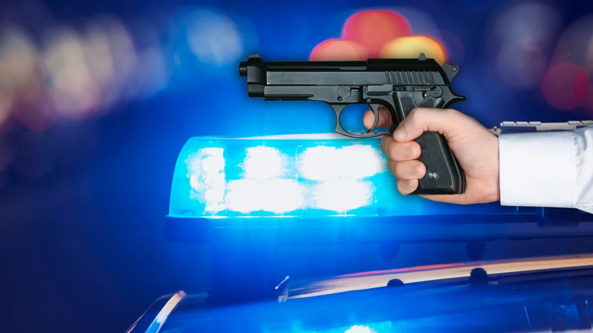 Das Bild auf 5min.at zeigt ein Polizeiauto und eine Schusswaffe.