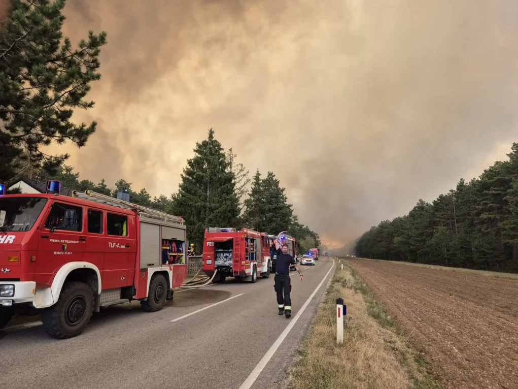 Foto in Beitrag von 5min.at zeigt den Waldbrand im Föhrenwald.